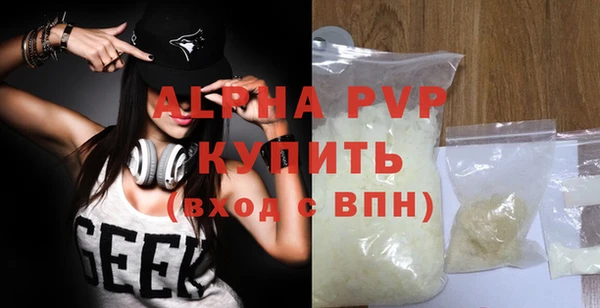 прущие грибы Белокуриха