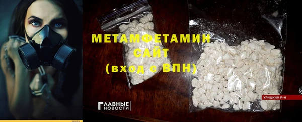 прущие грибы Белокуриха