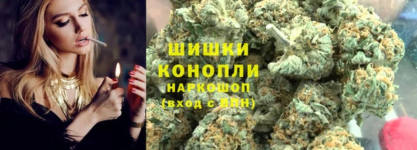 прущие грибы Белокуриха