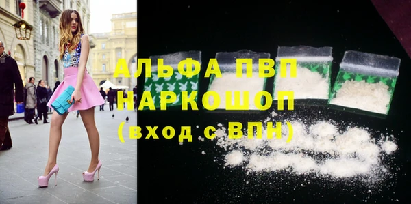 прущие грибы Белокуриха