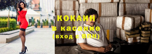 прущие грибы Белокуриха