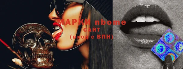 прущие грибы Белокуриха