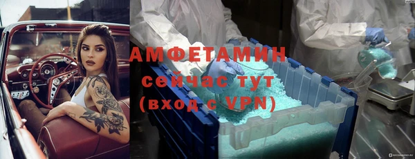 прущие грибы Белокуриха
