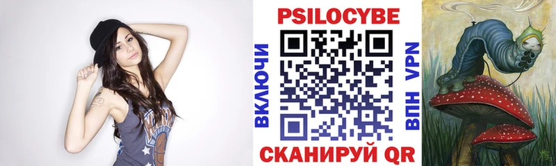 Псилоцибиновые грибы Psilocybine cubensis  Гатчина 