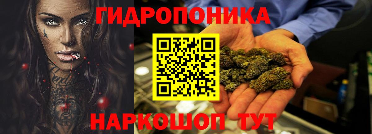 Конопля конопля Гатчина